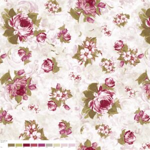 215 C1 Colour 11