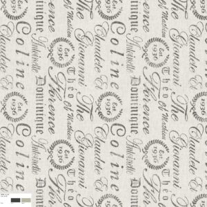 23946 Colour 65