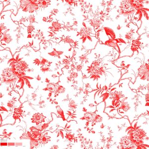 25988A Colour 58 SF
