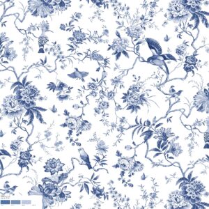 25988A Colour 71 SF