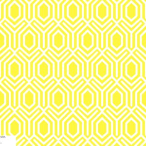 52757 Colour 64