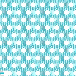 52762 Colour 79