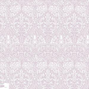 ACT170 Colour 58