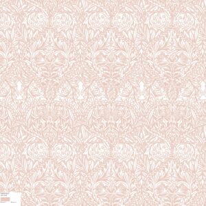 ACT170 Colour 60