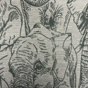 Amboseli Colour 16