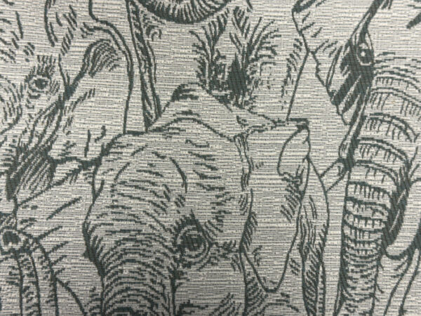 Amboseli Colour 16