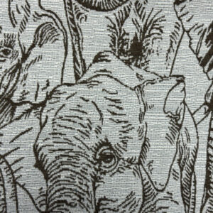 Amboseli Colour 42