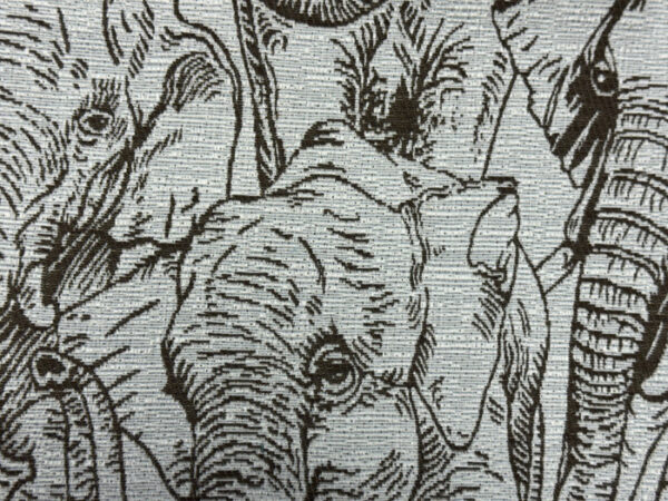 Amboseli Colour 42