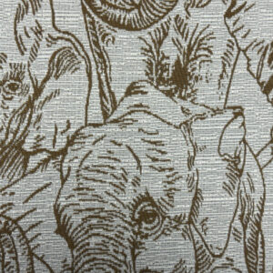 Amboseli Colour 46