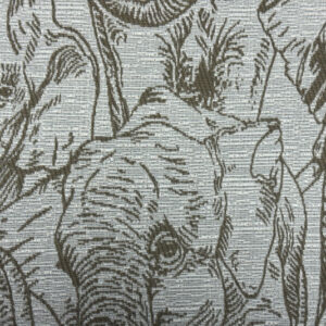Amboseli Colour 56