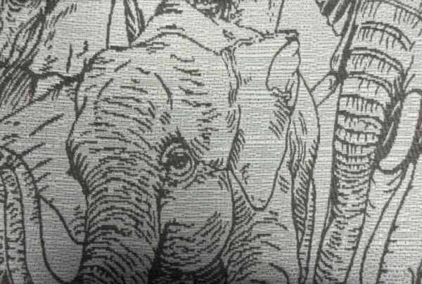 Amboseli Colour 62