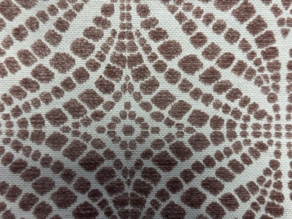 Bonn Colour 6213