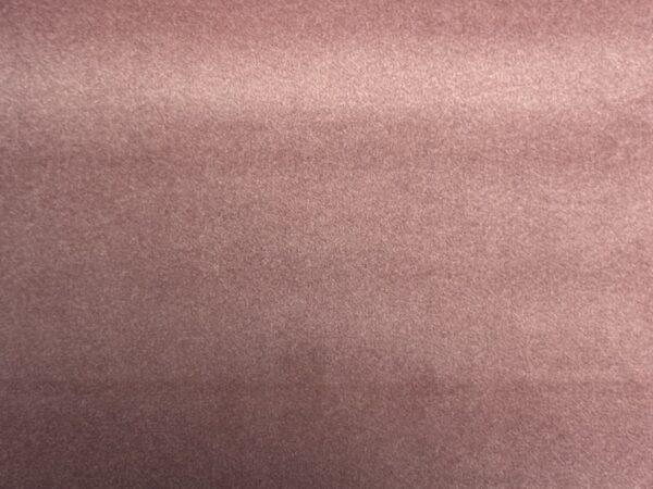 Focus FR Colour 034