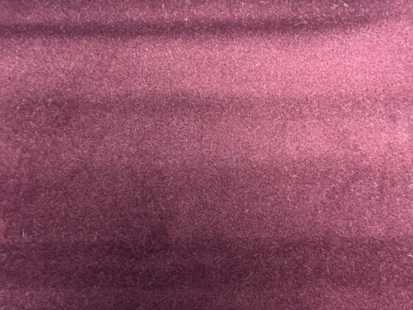 Focus FR Colour 065