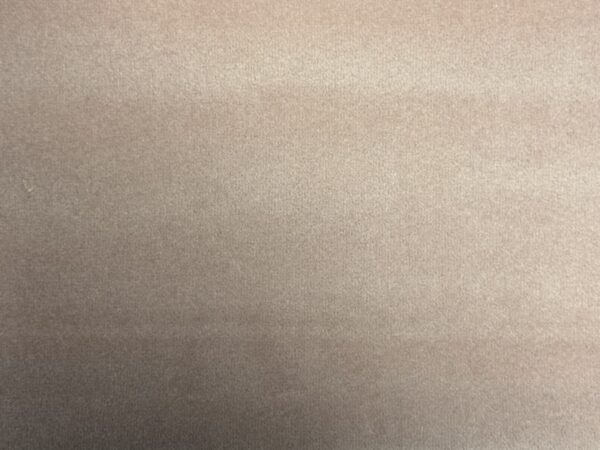 Focus FR Colour 075