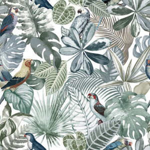 Nature 101 Colour 1 SF