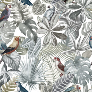 Nature 101 Colour 2 SF