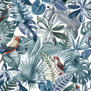 Nature 101 Colour 3 SF