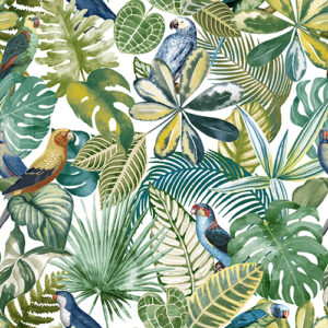 Nature 101 Colour 4 SF