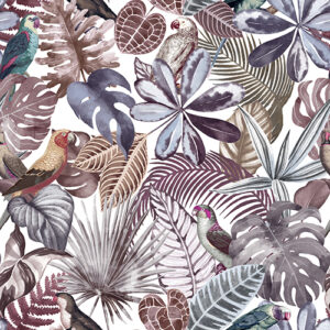 Nature 101 Colour 6 SF