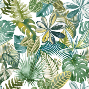 Nature 201 Colour 4 SF