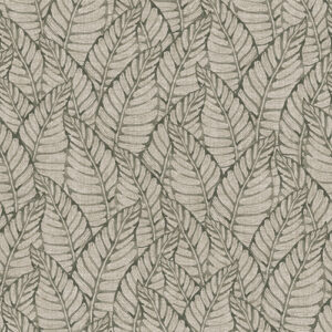 Nature 301 Colour 2