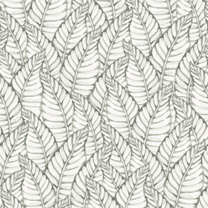 Nature 301 Colour 2 SF