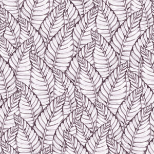 Nature 301 Colour 6 SF