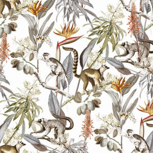 Nature 801 Colour 1 SF