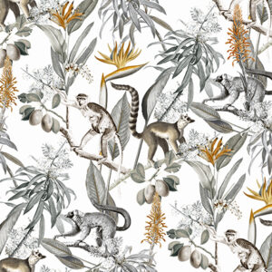 Nature 801 Colour 2 SF