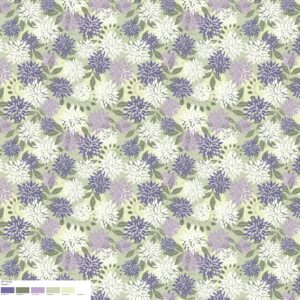 NPT0158 Colour 01