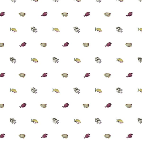 Sidney C1 Colour 10 SF