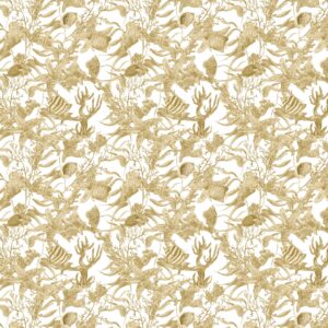 Sidney C2 Colour 10 SF