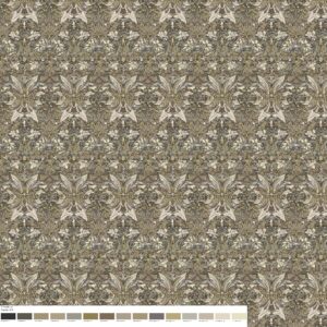 SP21259 Colour 01B