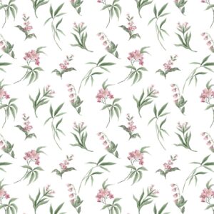 SP21493 Colour 00