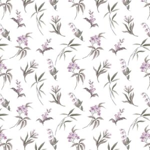 SP21493 Colour 01