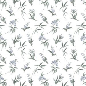 SP21493 Colour 03