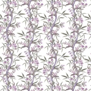 SP21494 Colour 01