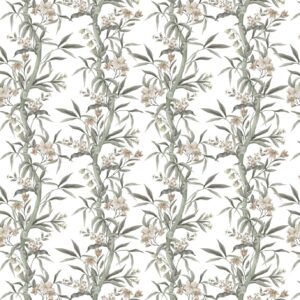 SP21494 Colour 02