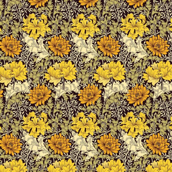 SP21552 Colour 00
