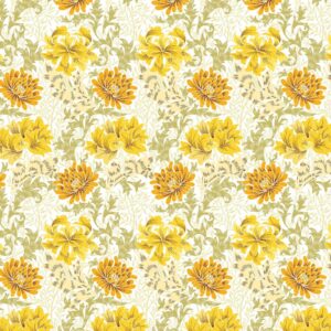 SP21552 Colour 01