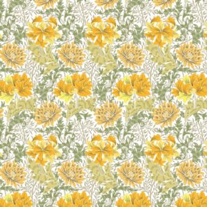 SP21552 Colour 05